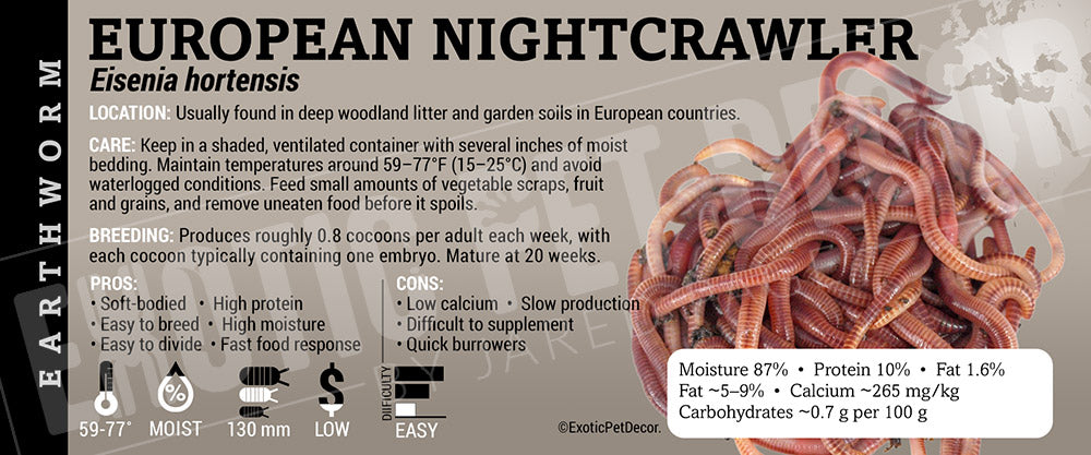 Dendrobaena hortensis 'European Nightcrawler' Feeder label