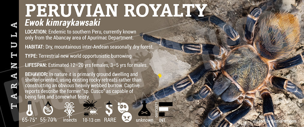 Ewok kimraykawsaki 'Peruvian Royalty' Tarantula label