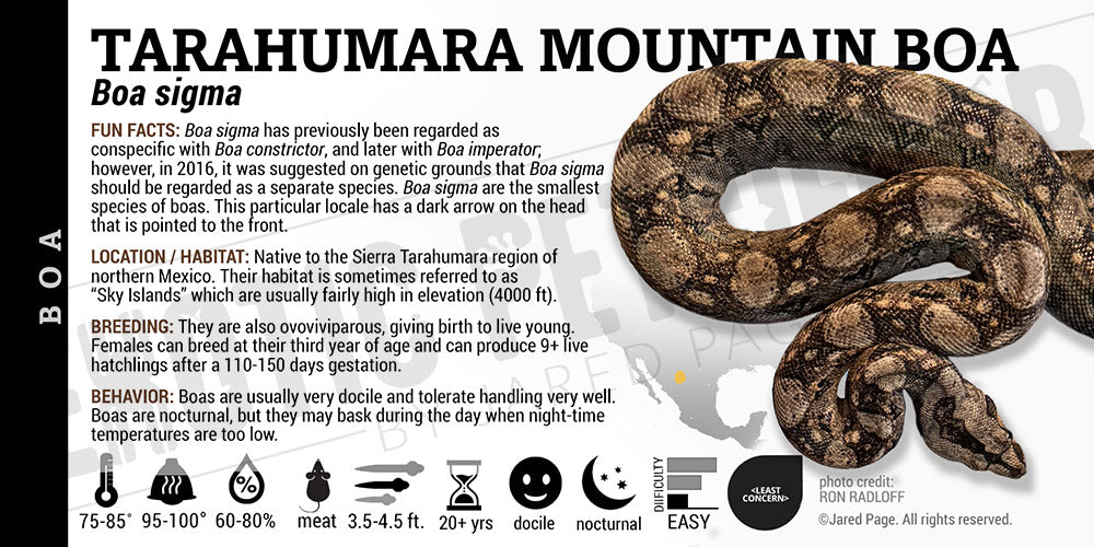 Boa sigma 'Tarahumara Mountain' Boa label