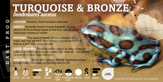 Dendrobates auratus 'Turquoise & Bronze' Dart Frog Label