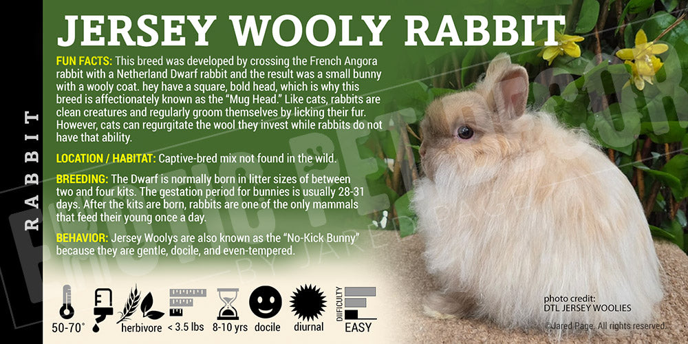 'Jersey Wooly' Rabbit label