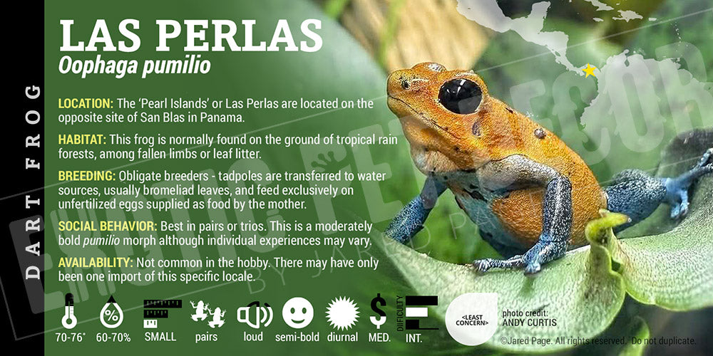 Oophaga pumilio 'Las Perlas' Dart Frog Label