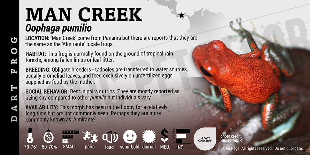 Oophaga pumilio 'Man Creek' Dart Frog Label