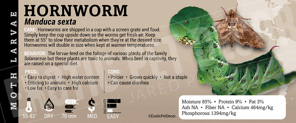 Manduca sexta 'Hornworms' Feeder