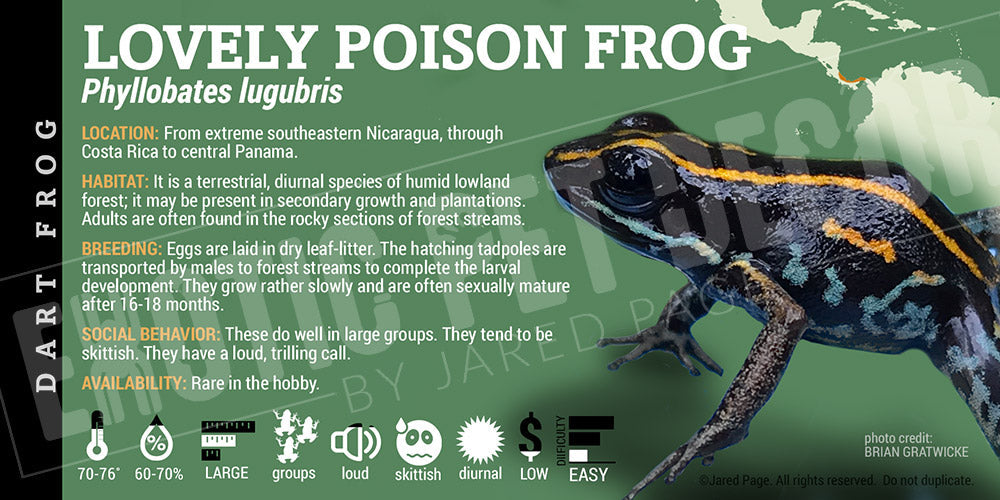Phyllobates lugubris 'Lovely Poison Dart Frog Label' Dart Frog Label