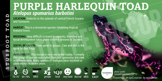 Atelopus barbotini 'Purple Harlequin Toad' Dart Frog Label