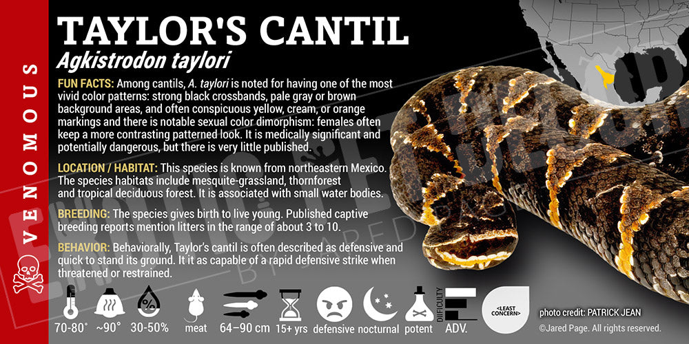 Agkistrodon taylori 'Taylor's Cantil' Snake label
