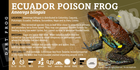 Ameerega bilinguis 'Ecuador Poison Frog' Label