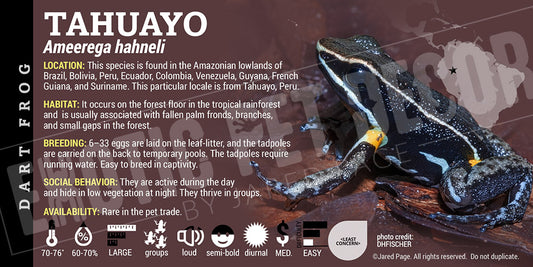 Ameerega hahneli 'Tahuayo' Dart Frog label