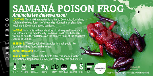 Andinobates daleswansoni 'Samaná Poison Frog' label