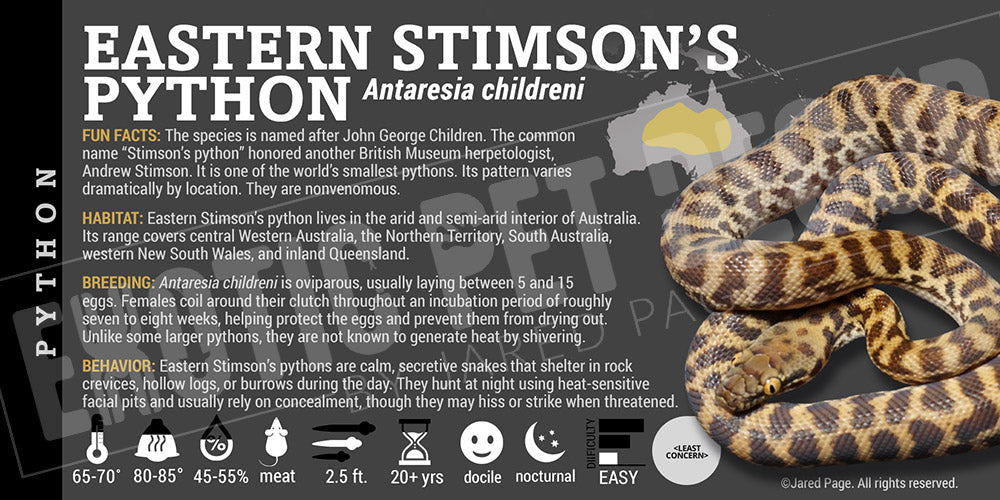 Antaresia childreni 'Eastern Stimson's' Python snake label
