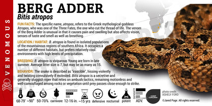 Bitis atropos 'Berg Adder' Snake label