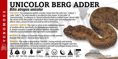Bitis atropos 'Berg Adder' Snake label