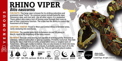Bitis nasicornis 'Rhino' Viper