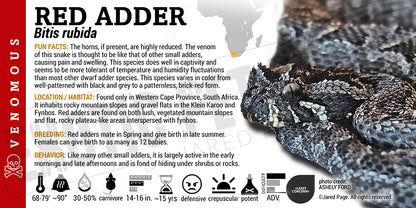 Bitis rubida 'Red Adder' Snake label
