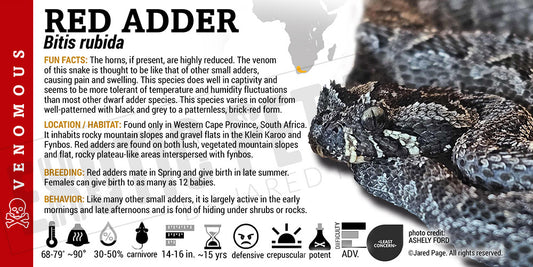 Bitis rubida 'Red Adder' Snake label
