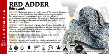 Bitis rubida 'Red Adder' Snake label