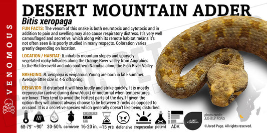 Bitis xeropaga 'Desert Mountain Adder' Snake label