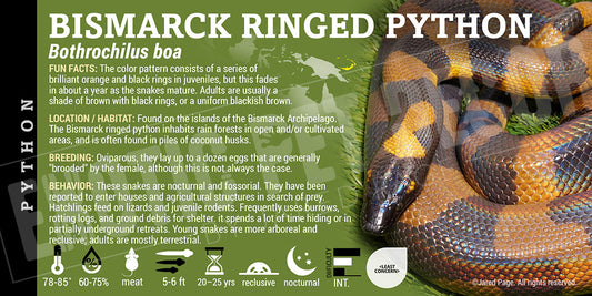 Bothrochilus boa 'Bismarck Ringed Python' snake label