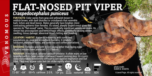 Craspedocephalus puniceus 'Flat-Nosed Ashy Pit Viper' label