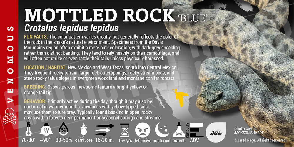 Crotalus lepidus lepidus 'Mottled Rock' Rattlesnake label