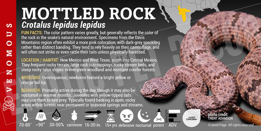 Crotalus lepidus lepidus 'Mottled Rock' Rattlesnake label