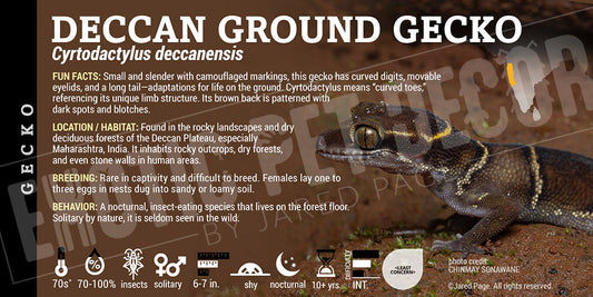 Cyrtodactylus deccanensis 'Deccan Ground Gecko' label