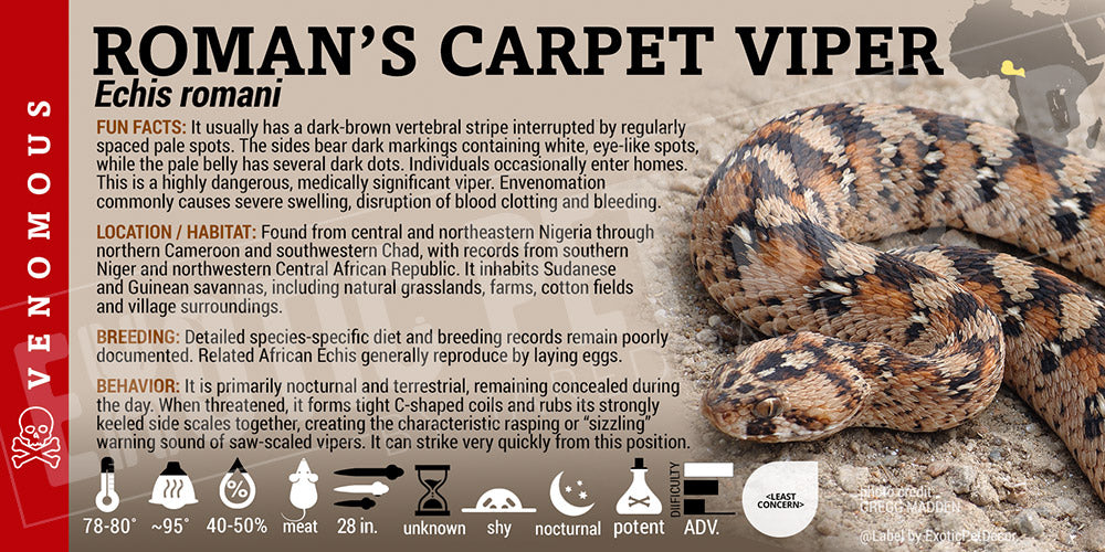 Echis romani 'Roman's Carpet Viper' label
