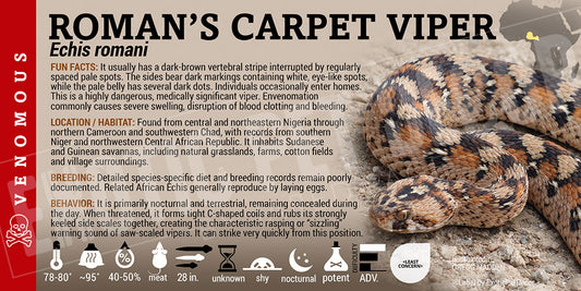 Echis romani 'Roman's Carpet Viper' label