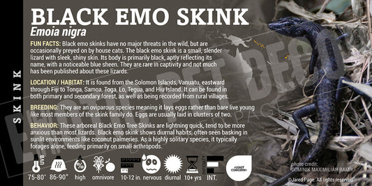 Emoia nigra 'Black Emo' Skink label