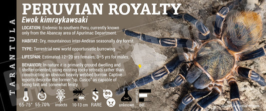 Ewok kimraykawsaki 'Peruvian Royalty' Tarantula label