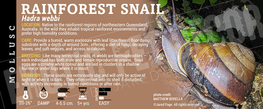 Hadra webbi 'Rainforest' Snail label