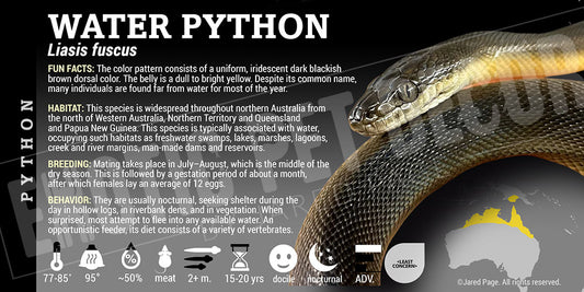 Liasis fuscus 'Water Python' label