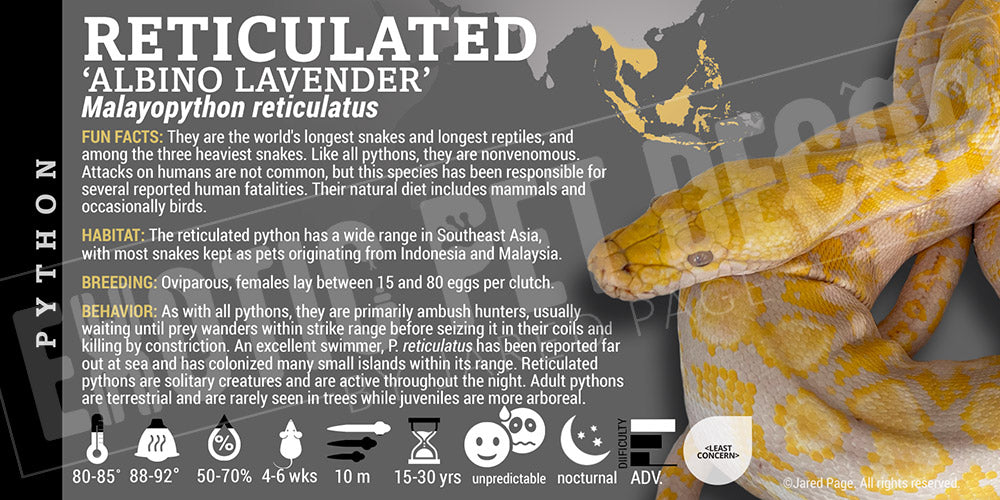 Malayopython reticulates 'Reticulated' Python Cards and Enclosure ...