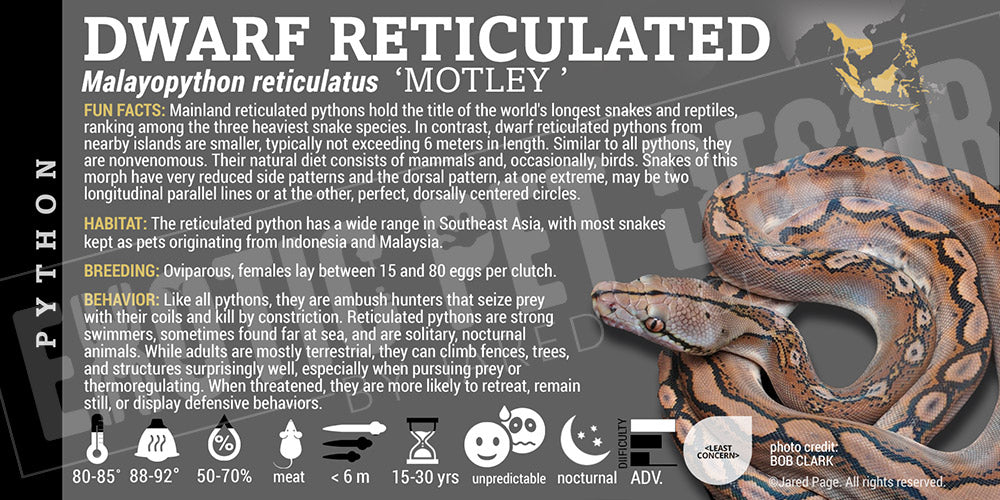 Malayopython reticulates 'Reticulated' Python Cards and Enclosure