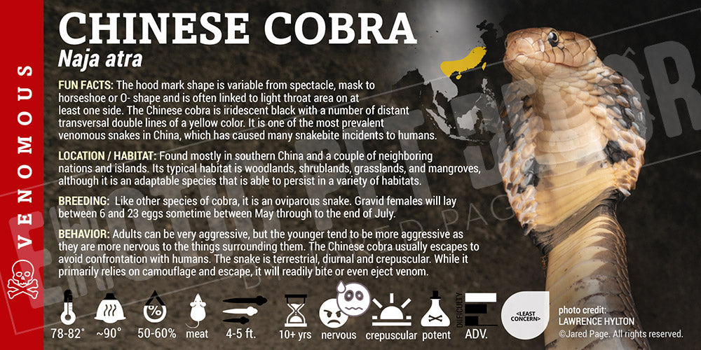 Naja atra 'Chinese Cobra' snake label