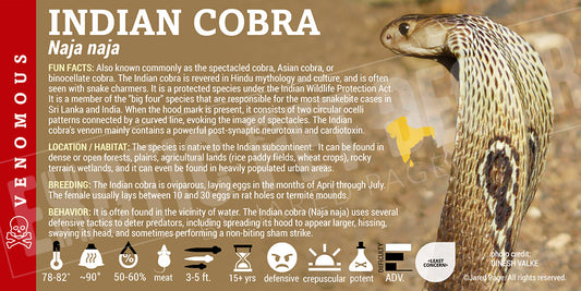 Naja naja 'Indian Cobra' snake label