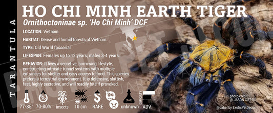 Ornithoctoninae sp. 'Ho Chi Minh Earth-Tiger' Tarantula label
