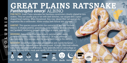 Pantherophis emoryi 'Great Plains Ratsnake' label