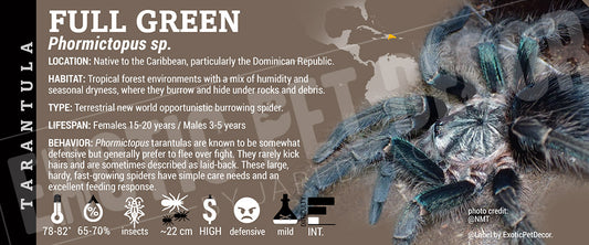 Phormictopus sp. 'Full Green' Tarantula label