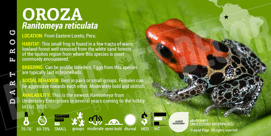 Ranitomeya reticulata 'Oroza' dart frog label