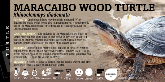 Rhinoclemmys diademata 'Maracaibo Wood' Turtle label