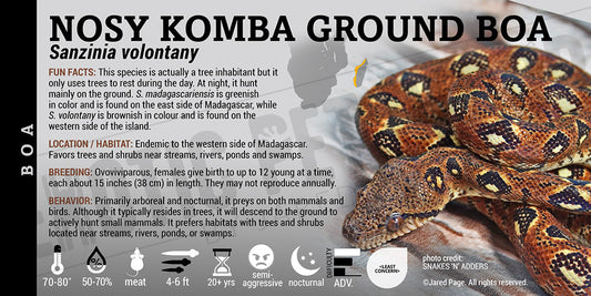 Sanzinia volontany 'Nosy Komba Ground Boa' label