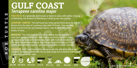 Terrapene carolina major 'Gulf Coast' Box Turtle label