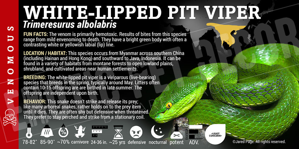 Trimeresurus albolabris 'White-lipped Pit Viper' label