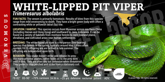 Trimeresurus albolabris 'White-lipped Pit Viper' label