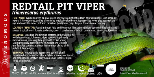 Trimeresurus erythrurus 'Redtail Pit Viper' label