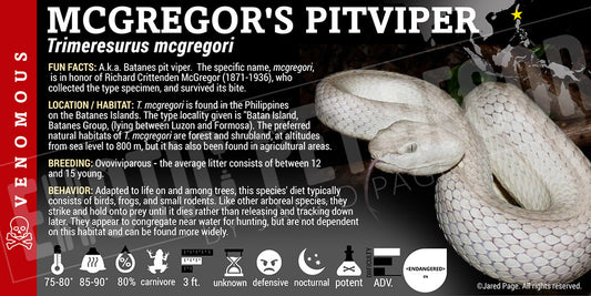 Trimeresurus mcgregori 'McGregor's Pit Viper'