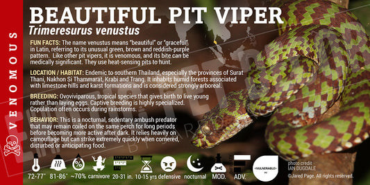 Trimeresurus venustus 'Beautiful Pit Viper' label
