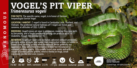 Trimeresurus vogeli 'Vogel's Pit Viper' label